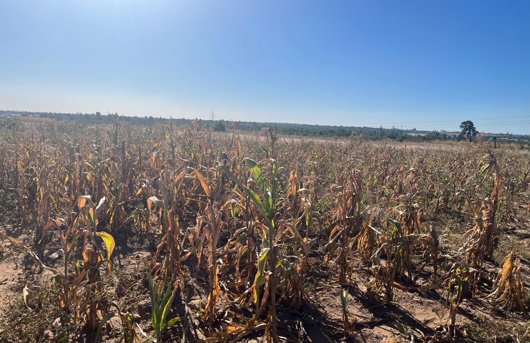 Land for sale in Msasa