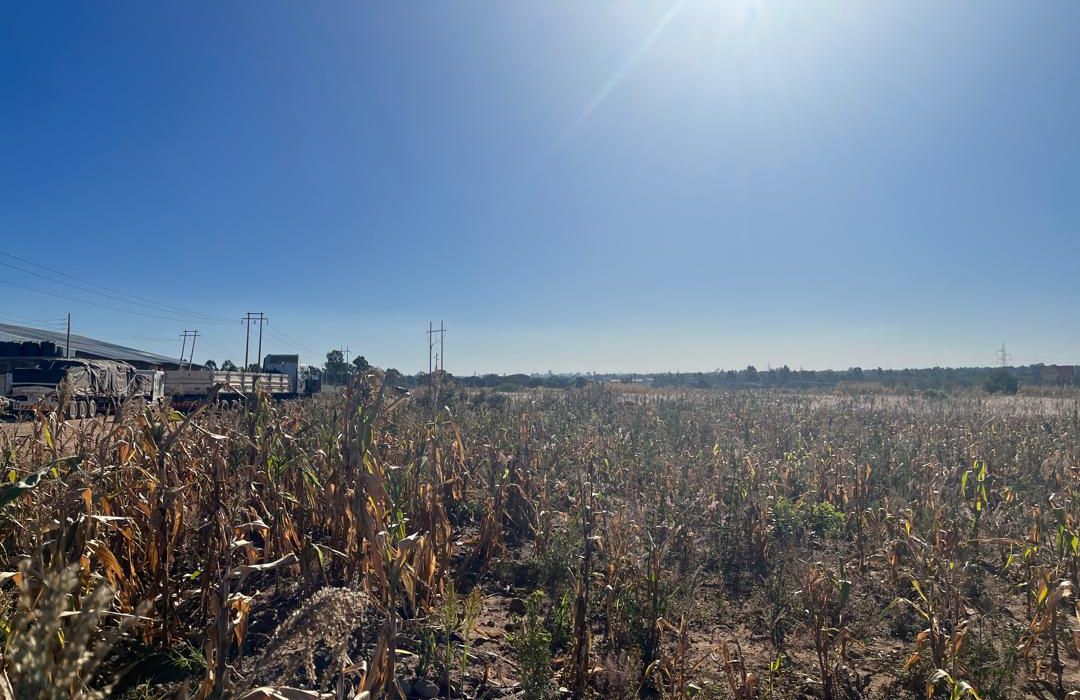 Land for sale in Msasa