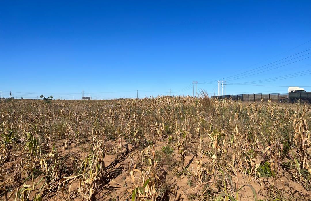 Land for sale in Msasa