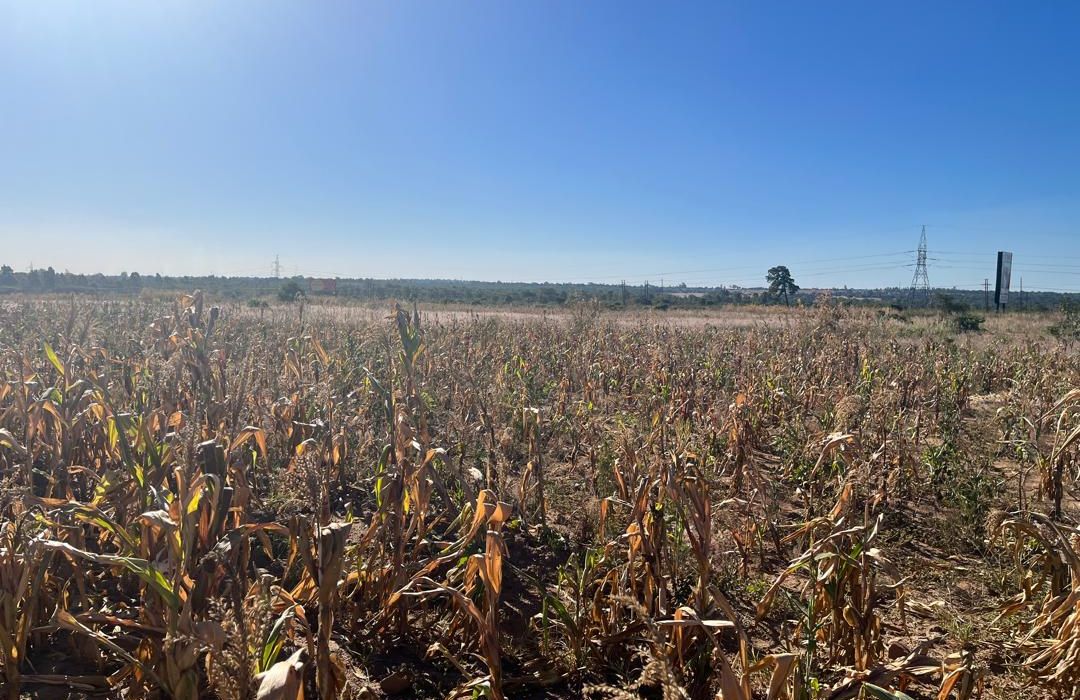 Land for sale in Msasa