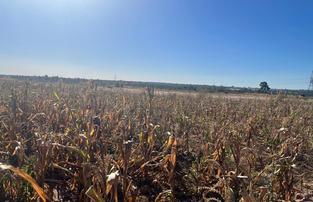 Land for sale in Msasa