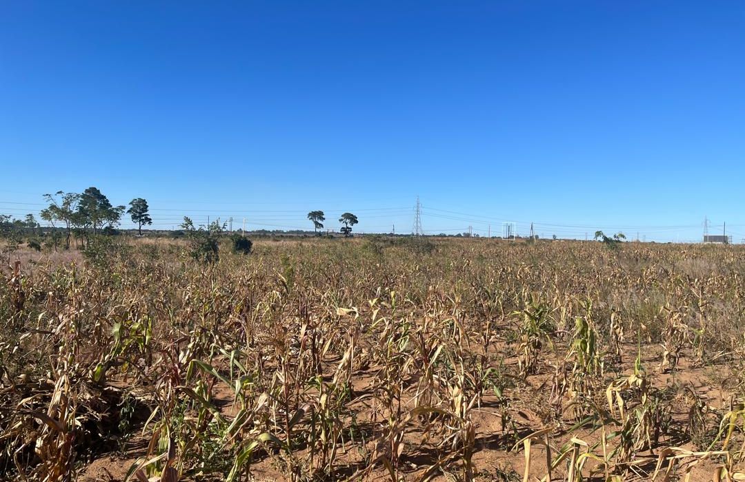 Land for sale in Msasa