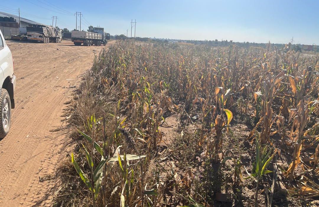Land for sale in Msasa