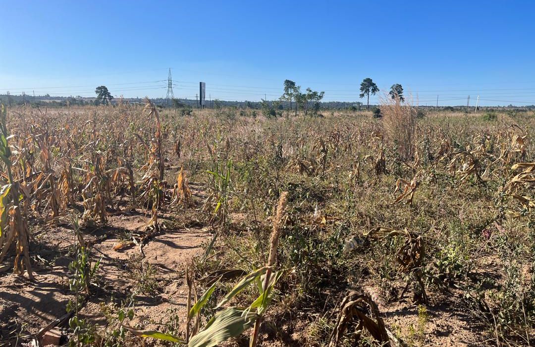 Land for sale in Msasa