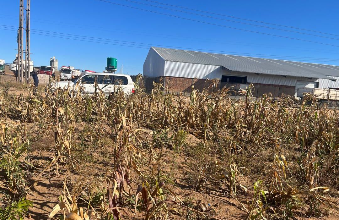 Land for sale in Msasa