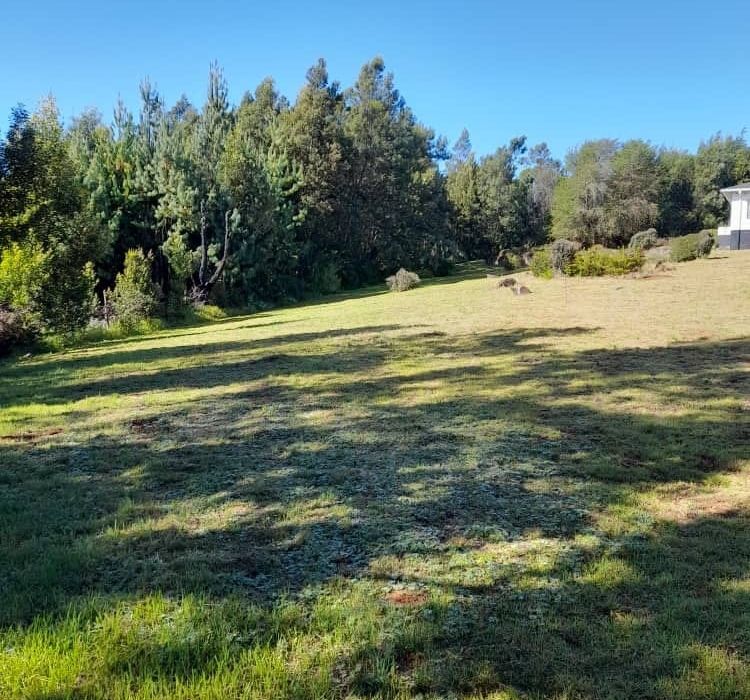 Lodge for Sale in Inyanga 