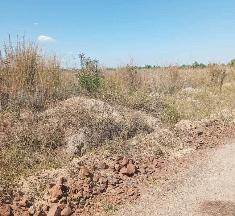 Nyabira Stands for Sale 