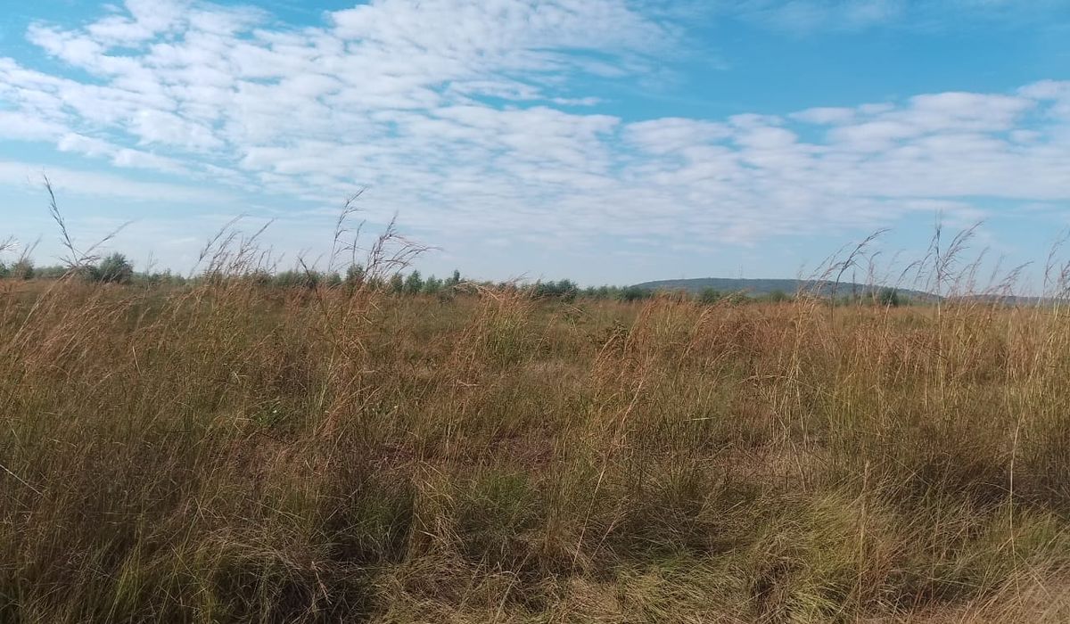 Peri Urban Agro Residential Plot in Norton 