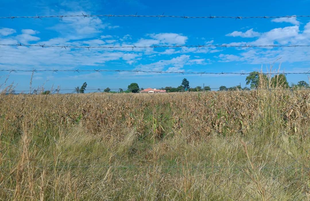 Peri Urban Agro Residential Plot in Norton 