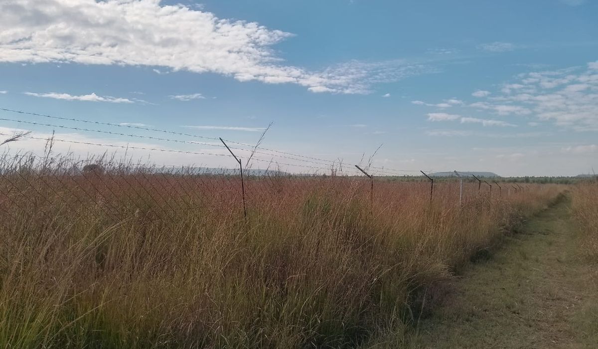 Peri Urban Agro Residential Plot in Norton 