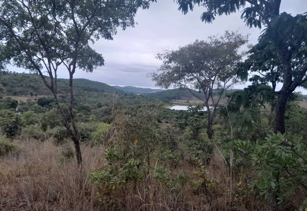 Plot for Sale in Arcturus, Rusike Estate  