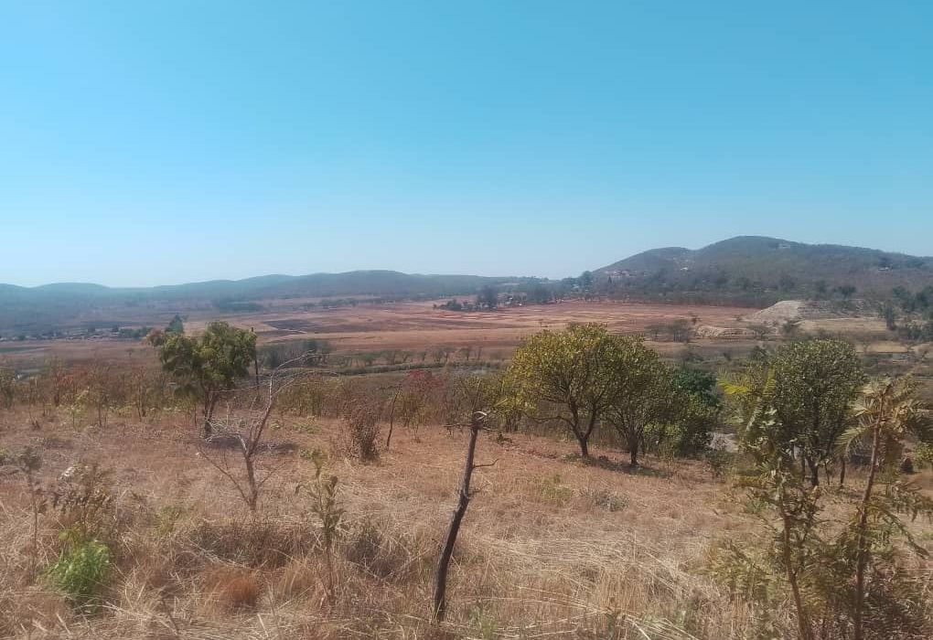 Plot for Sale in Arcturus, Rusike Estate  