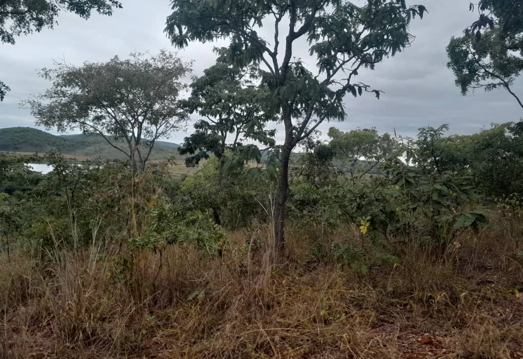 Plot for Sale in Arcturus, Rusike Estate  