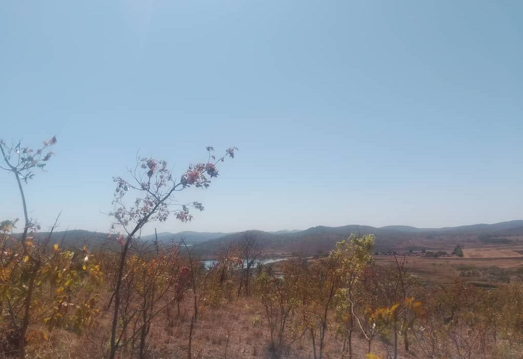 Plot for Sale in Arcturus, Rusike Estate  
