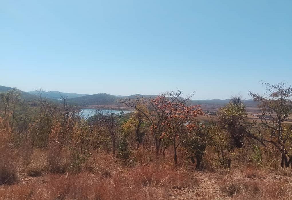 Plot for Sale in Arcturus, Rusike Estate  