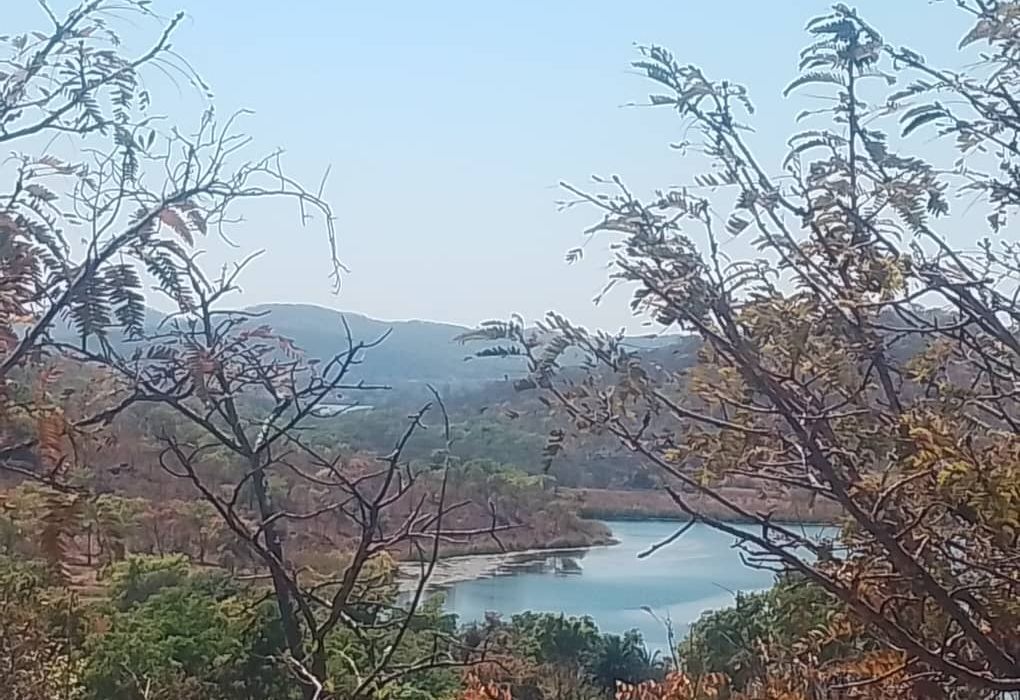 Plot for Sale in Arcturus, Rusike Estate  
