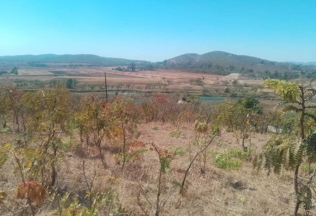 Plot for Sale in Arcturus, Rusike Estate  