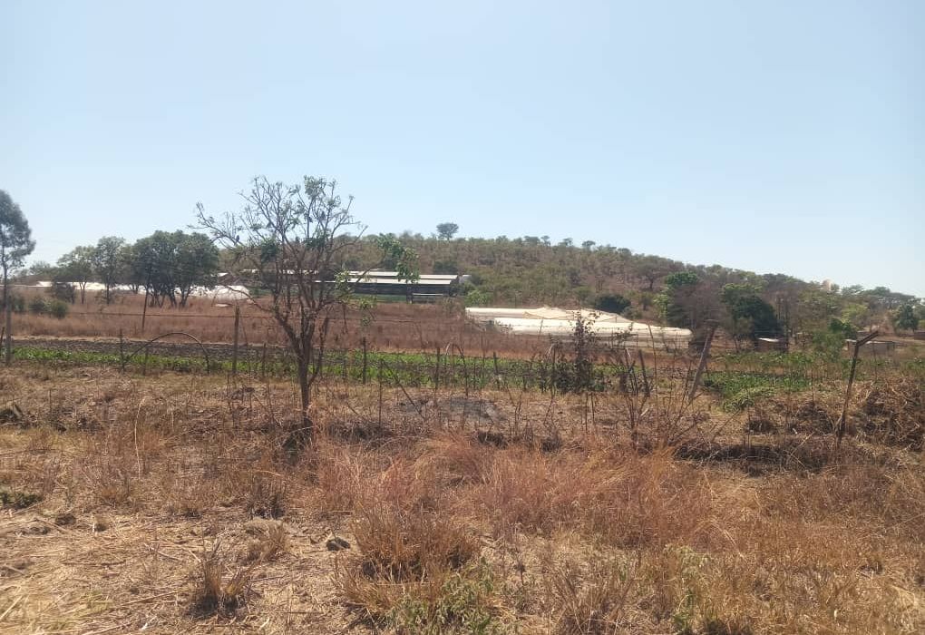 Plot for Sale in Arcturus, Rusike Estate  