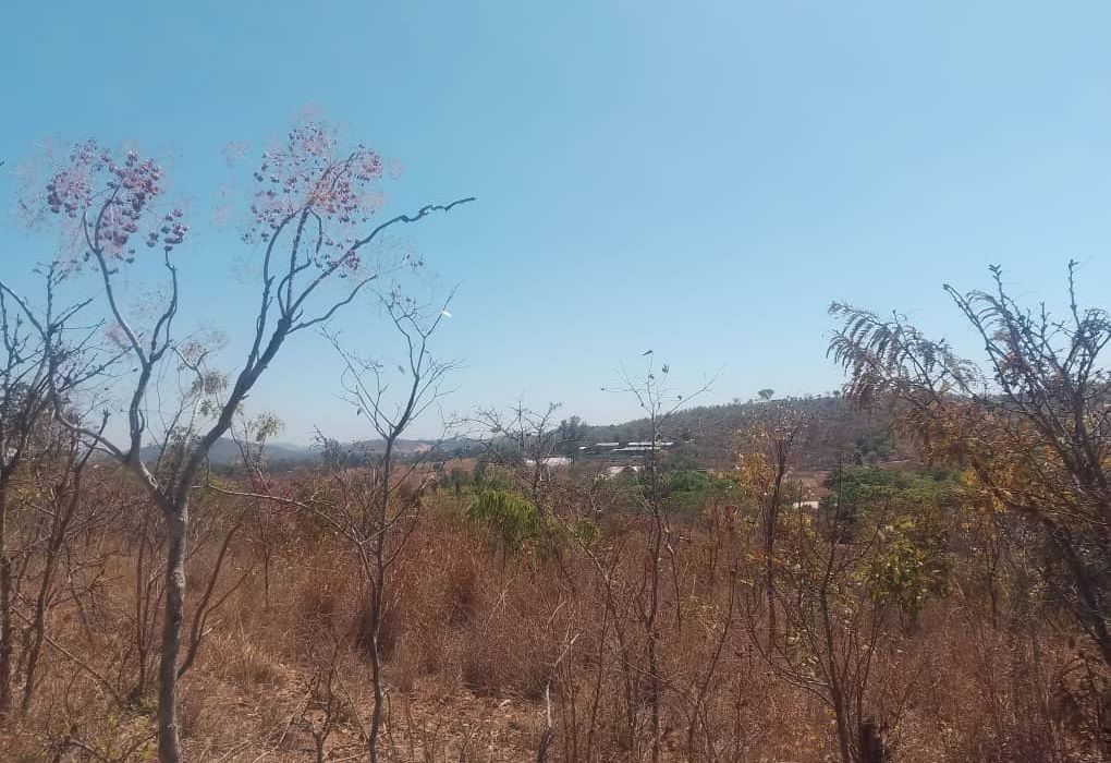 Plot for Sale in Arcturus, Rusike Estate  