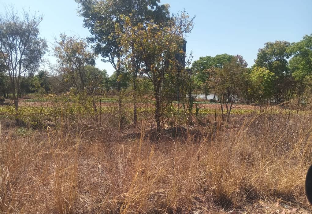 Plot for Sale in Arcturus, Rusike Estate  