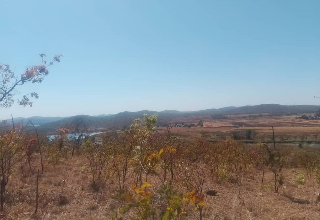 Plot for Sale in Arcturus, Rusike Estate  
