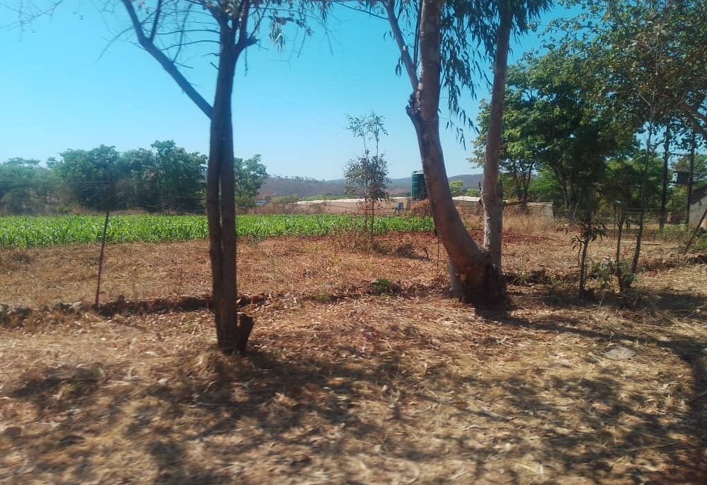 Plot for Sale in Arcturus, Rusike Estate  