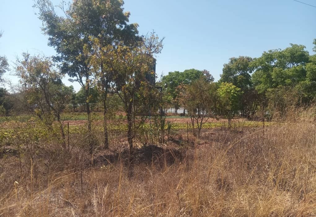 Plot for Sale in Arcturus, Rusike Estate  