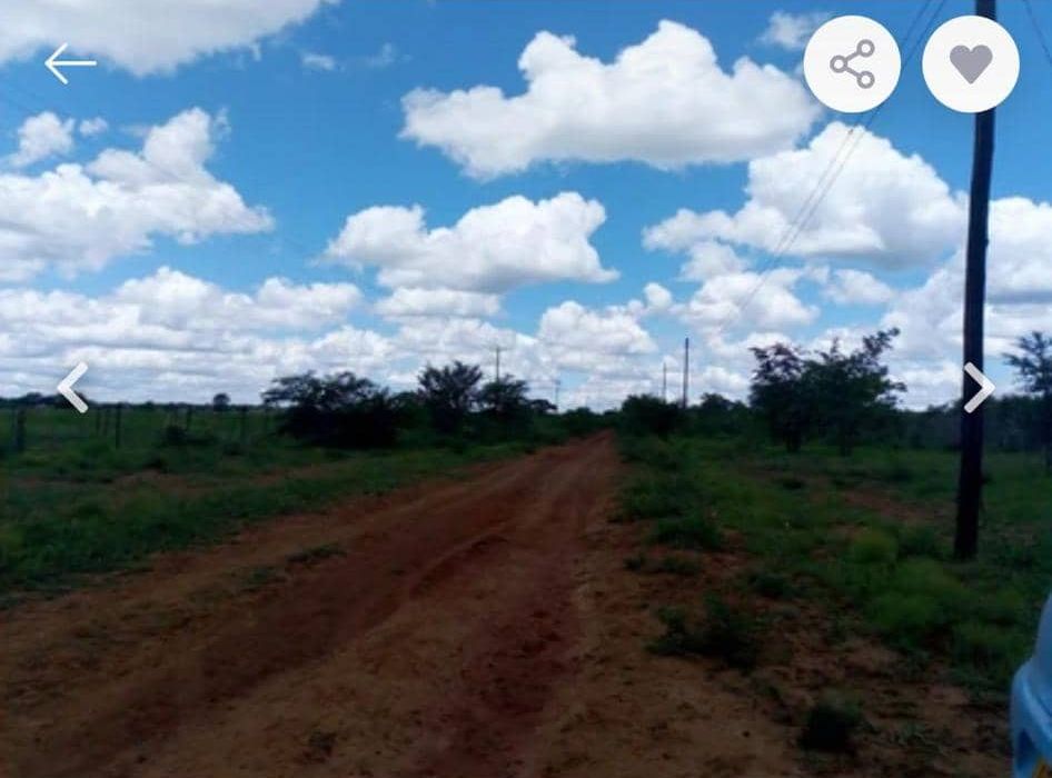 Plot for Sale in Chegutu 