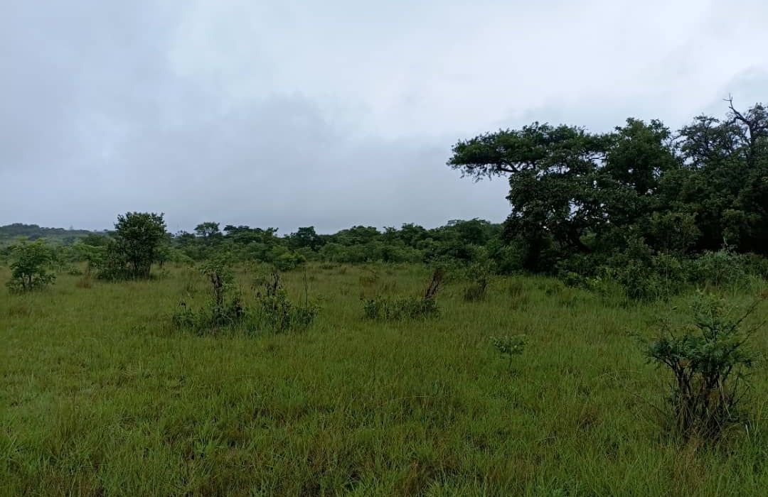 Plot for Sale in Melfort 