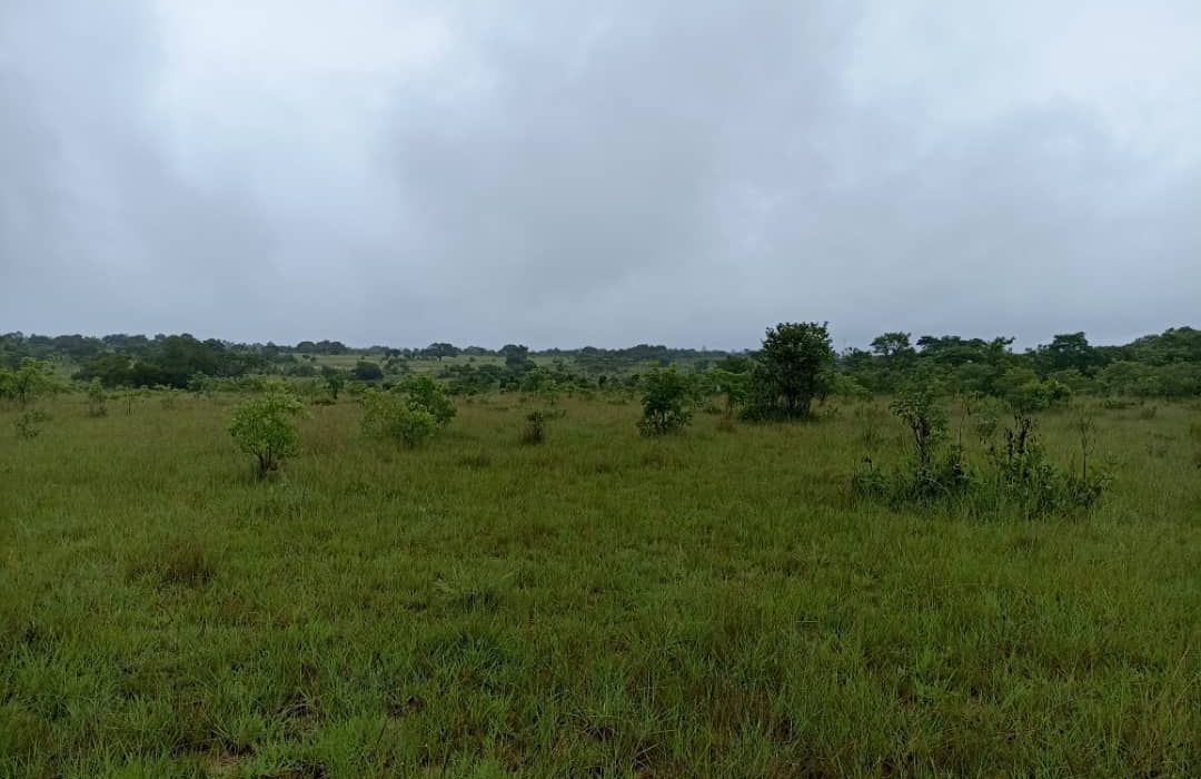 Plot for Sale in Melfort 