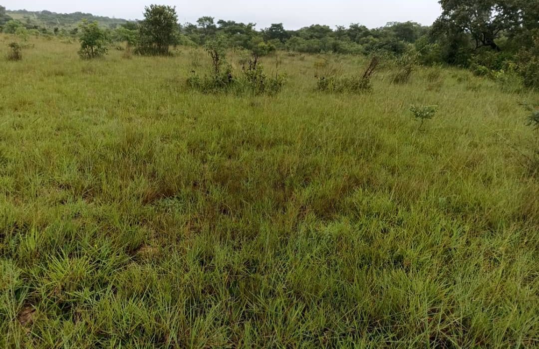 Plot for Sale in Melfort 