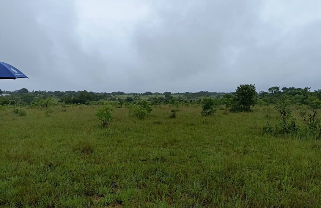 Plot for Sale in Melfort 