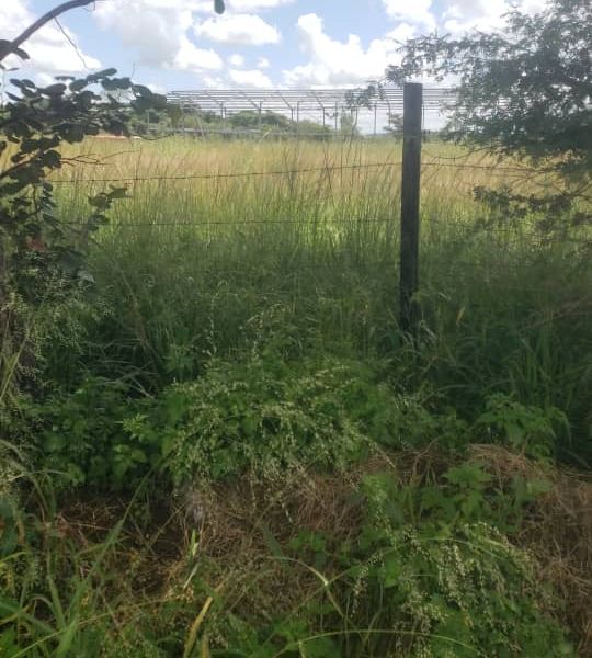 Prime Agro Residential Plot In Norton