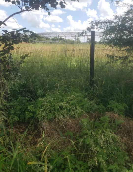 Prime Agro Residential Plot In Norton