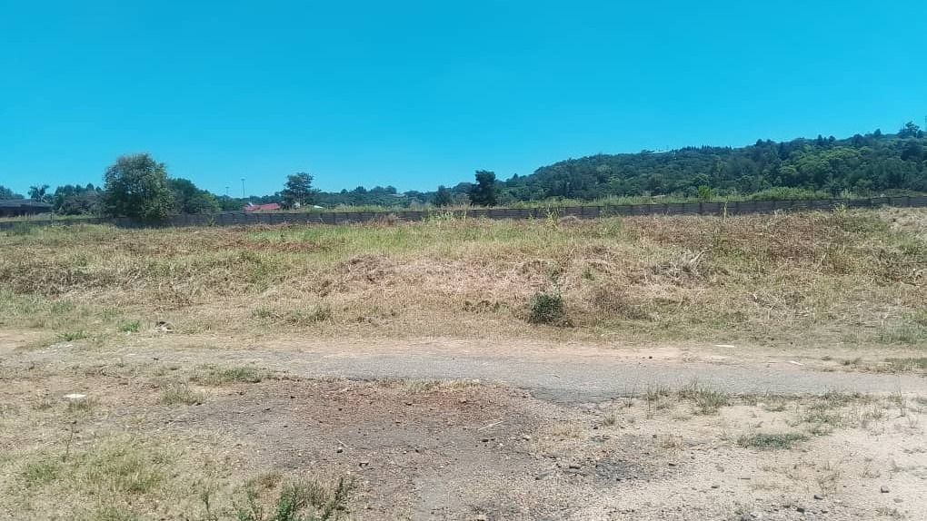 Quinnington Gated Community Stands 