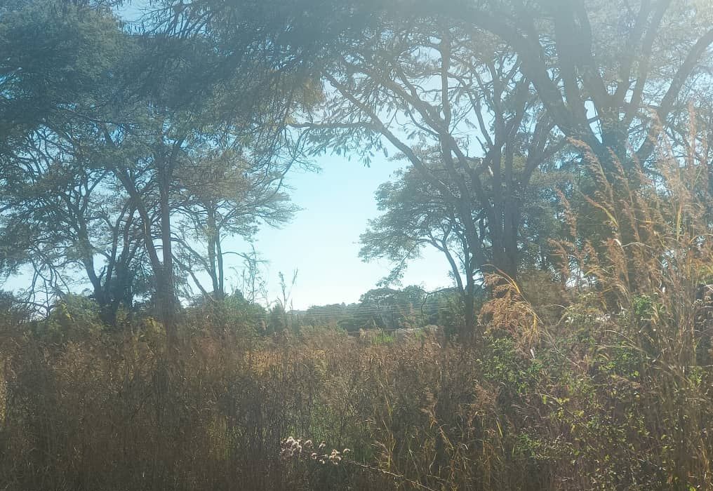 Residential Land in Mandara/Lichendale 