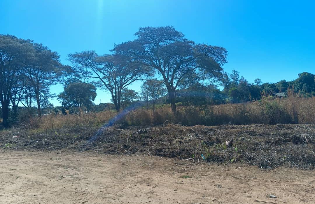 Residential Land in Mandara/Lichendale 
