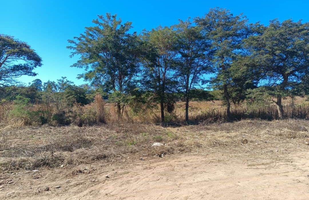 Residential Land in Mandara/Lichendale 