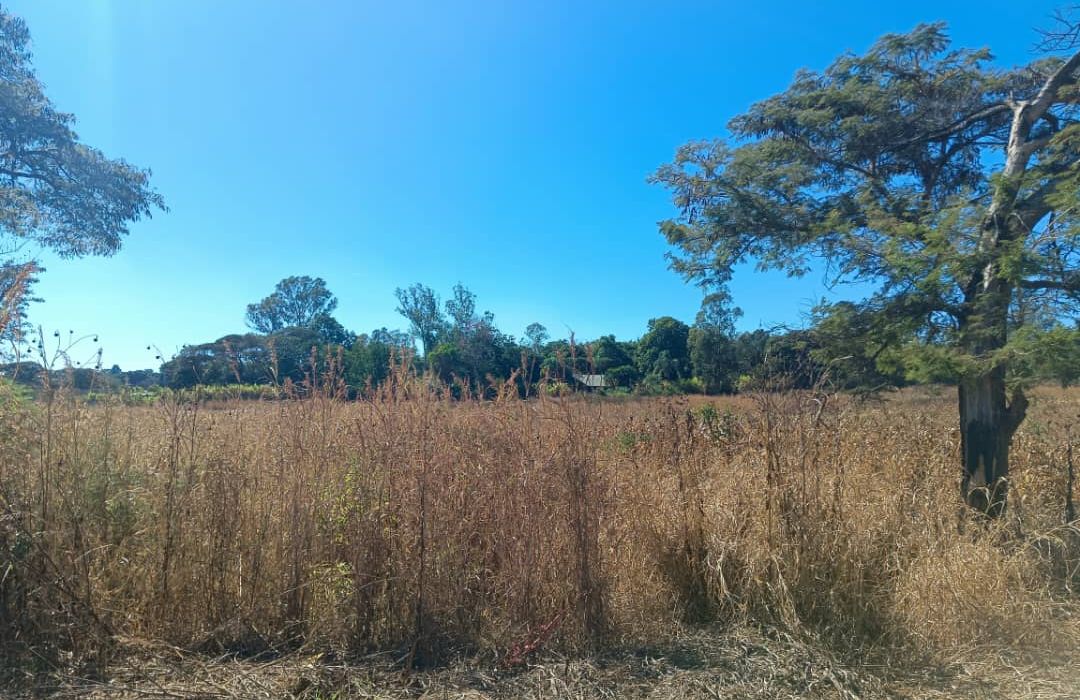 Residential Land in Mandara/Lichendale 