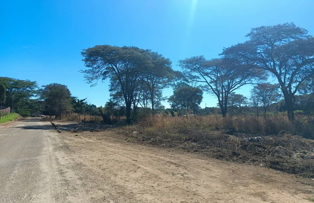 Residential Land in Mandara/Lichendale 