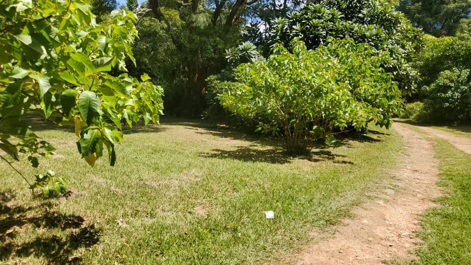 Residential Stand for Sale in Borrowdale 