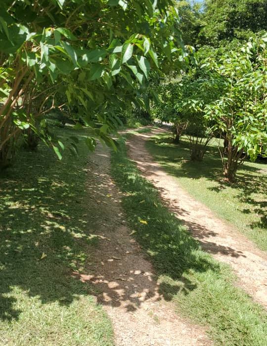 Residential Stand for Sale in Borrowdale 