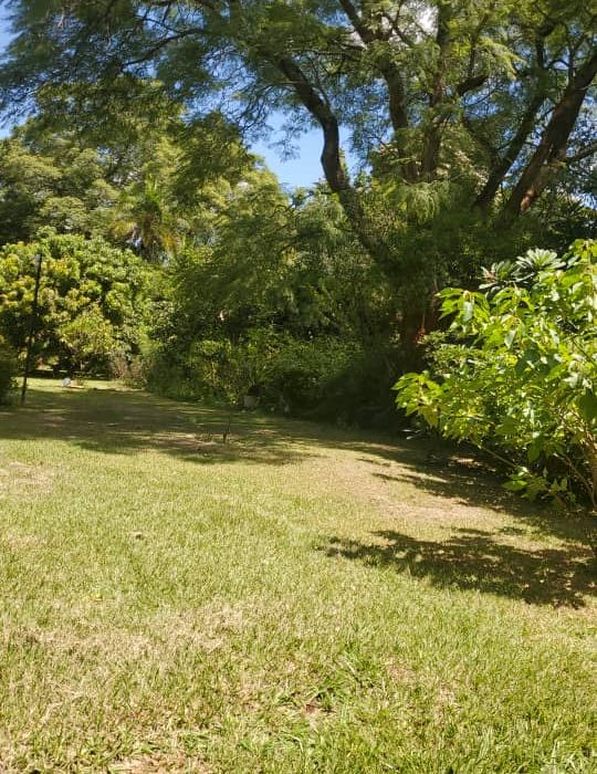 Residential Stand for Sale in Borrowdale 