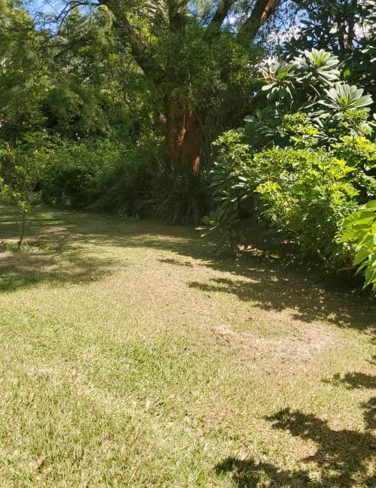 Residential Stand for Sale in Borrowdale 