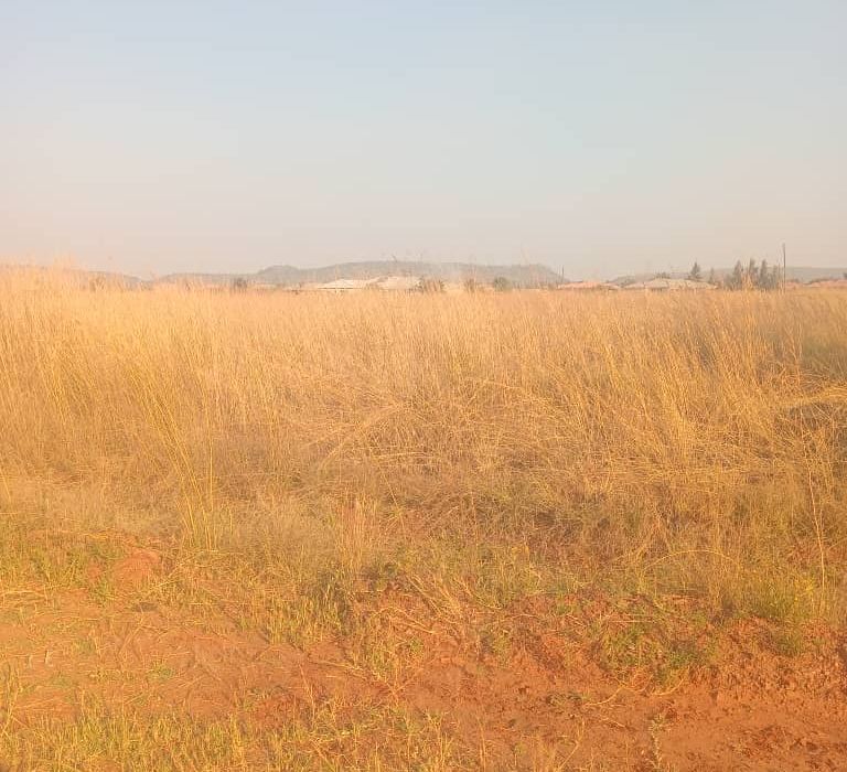 Residential Stand for Sale in Norton Galloway 