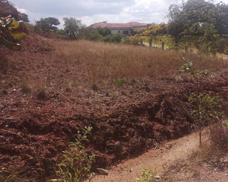 Residential Stand for Sale in Shawasha Hills 