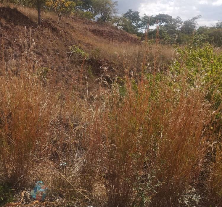 Residential Stand for Sale in Shawasha Hills 