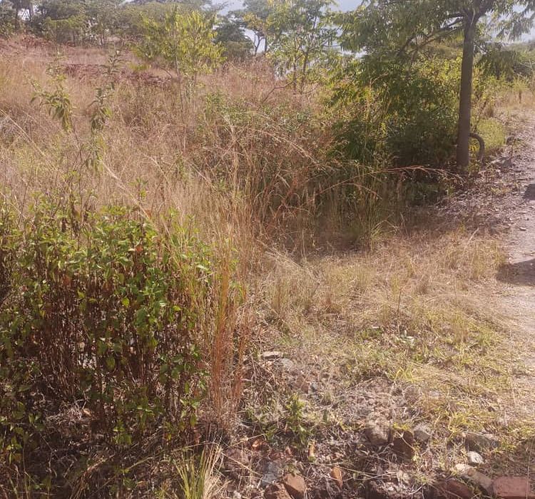 Residential Stand for Sale in Shawasha Hills 
