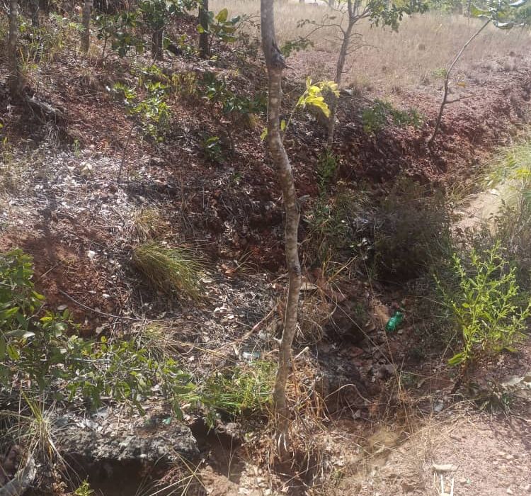 Residential Stand for Sale in Shawasha Hills 
