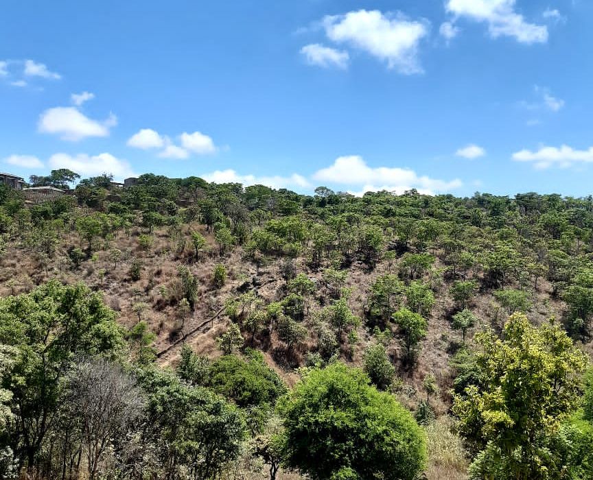 Residential Stand in Borrowdale for Sale 